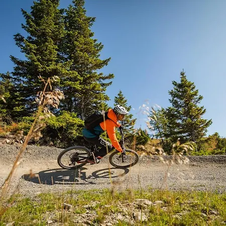 Genusshotel Almrausch Hotel 4*