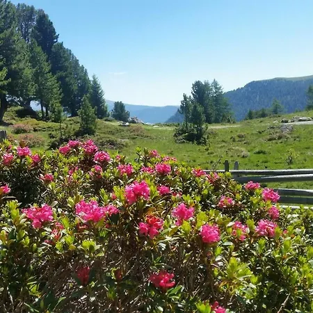 Genusshotel Almrausch Bad Kleinkirchheim
