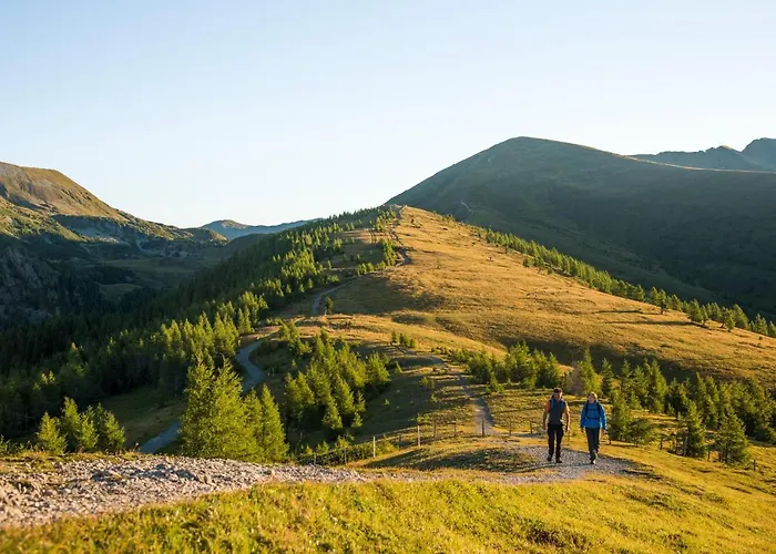 Genusshotel Almrausch 4* 巴德小基希海姆