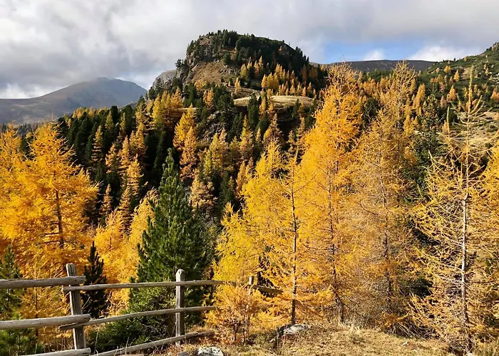 Hotel Genusshotel Almrausch 4*