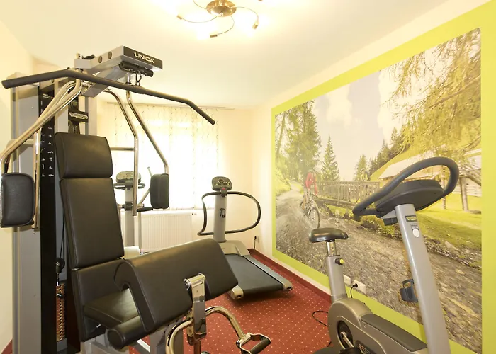 Genusshotel Almrausch 巴德小基希海姆